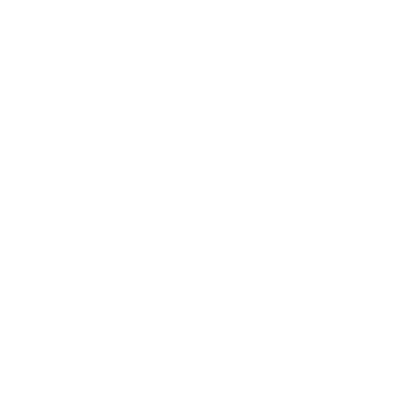 Pramiracetam